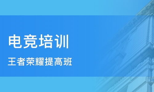 郑州荥阳市电竞培训 电竞培训学校哪家好 新闻网培训